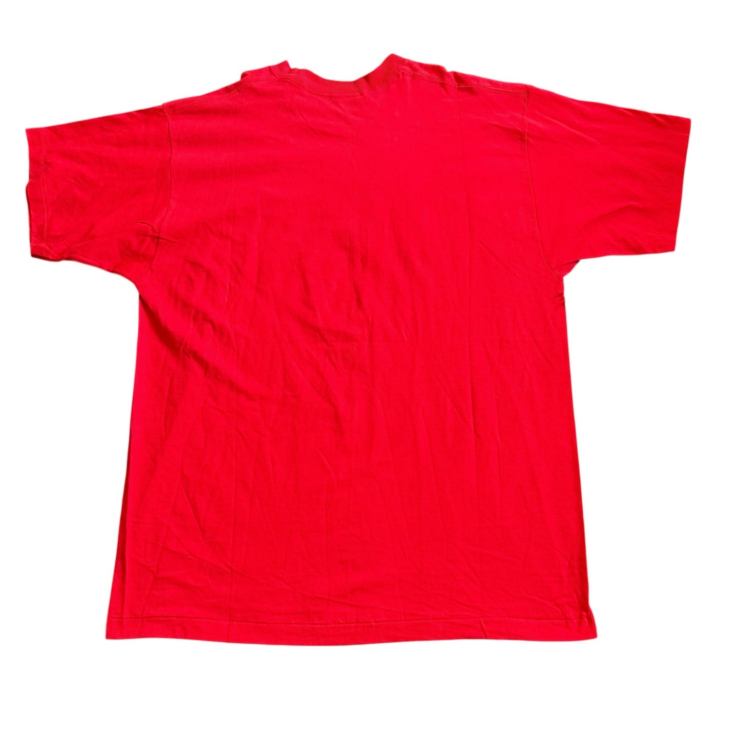 Carolina Hurricanes Vintage Pro Player T-Shirt New With tags - XL