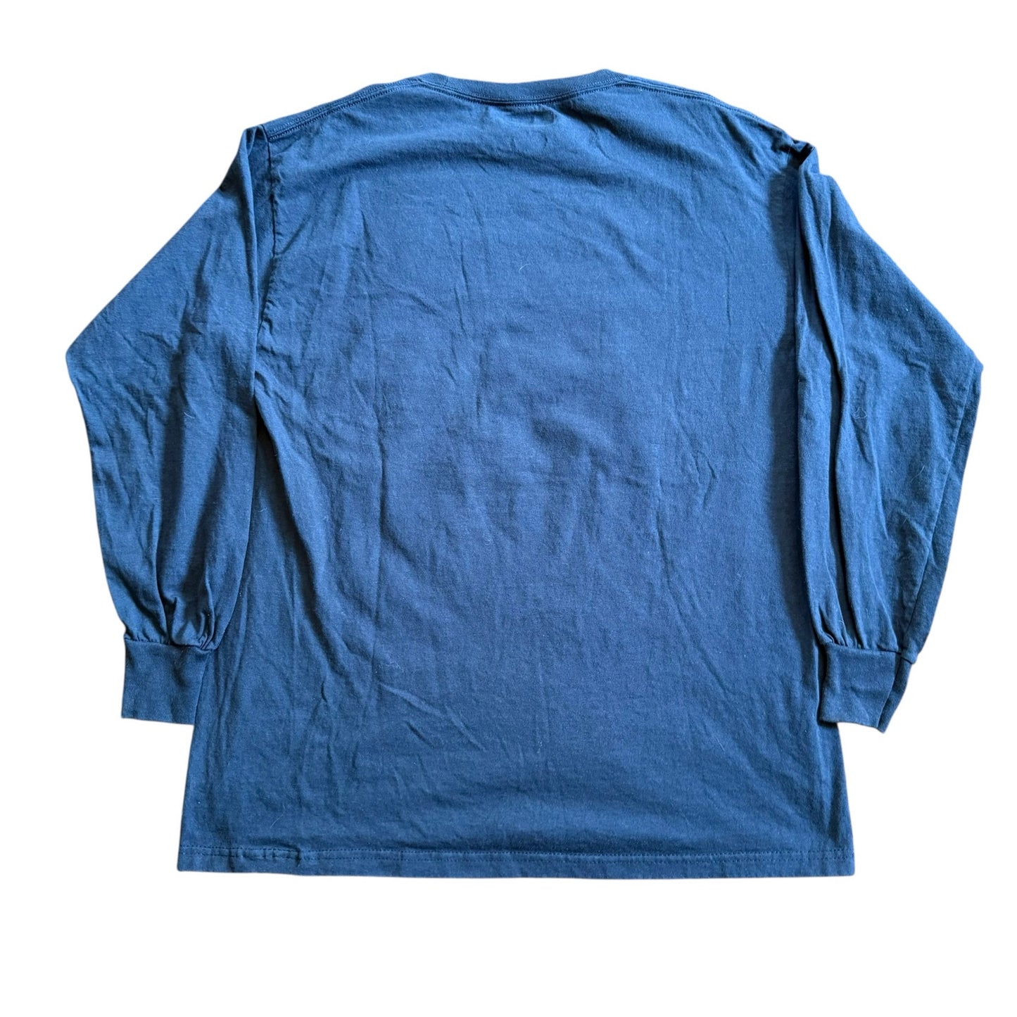 Houston Texans Long Sleeve Graphic T-Shirt