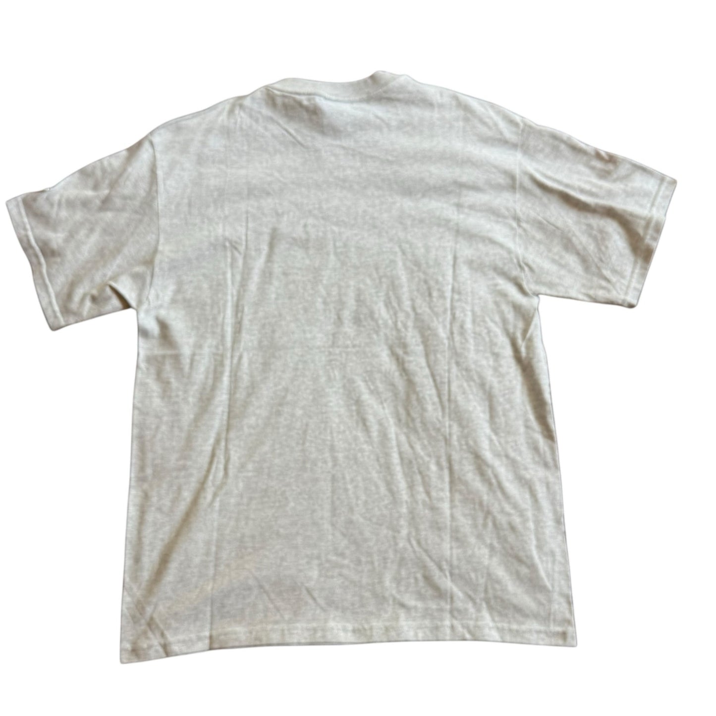 Champion Graphic T- Shirt NWT - Large