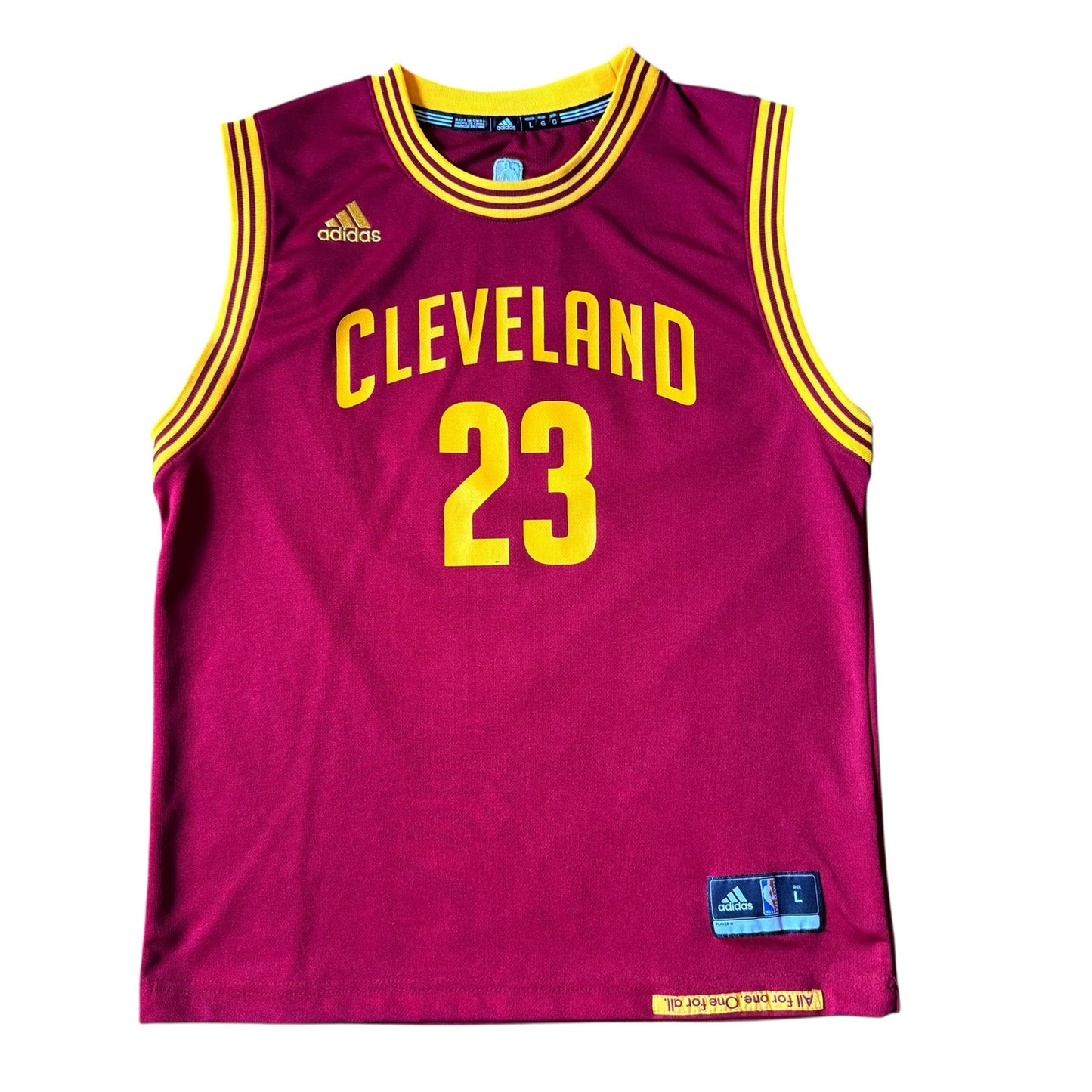 LeBron James #23 Cleveland Cavaliers Burgundy Jersey - Kids Large